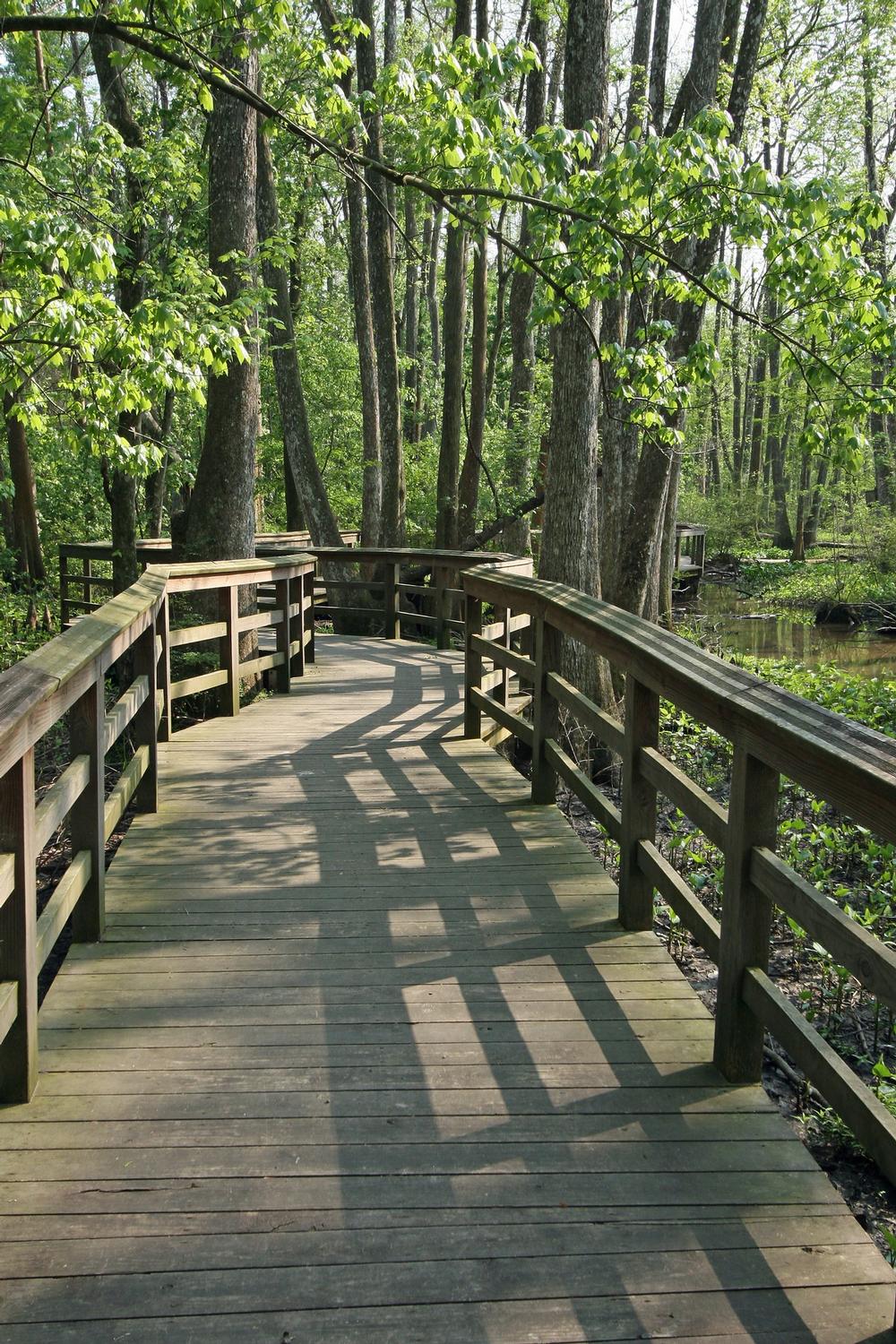 Walking/Running Trails and Tracks BREC Parks & Recreation in East